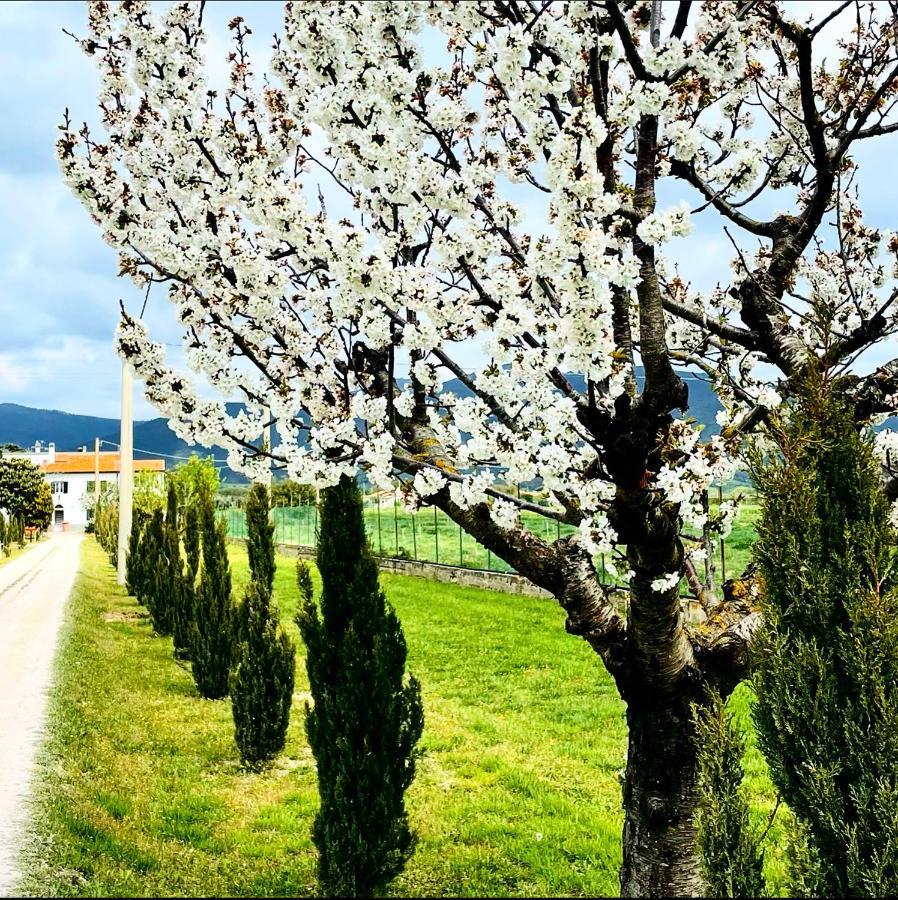 Appartamenti Podere San Sebastiano Castiglione della Pescaia Exterior foto